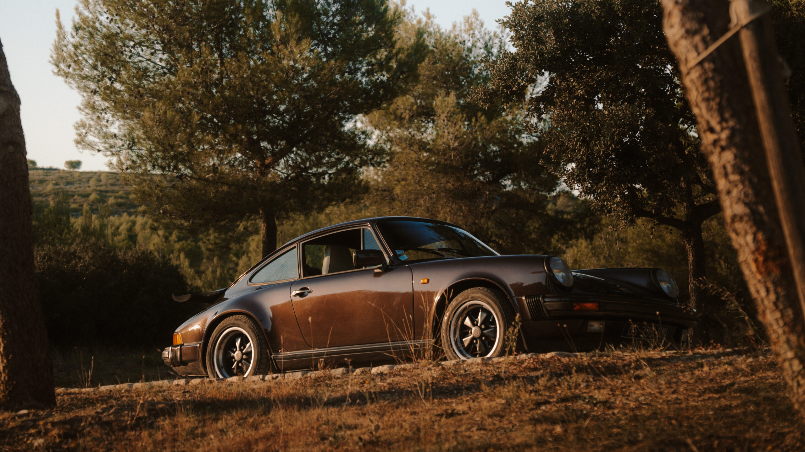 Porsche 911 930